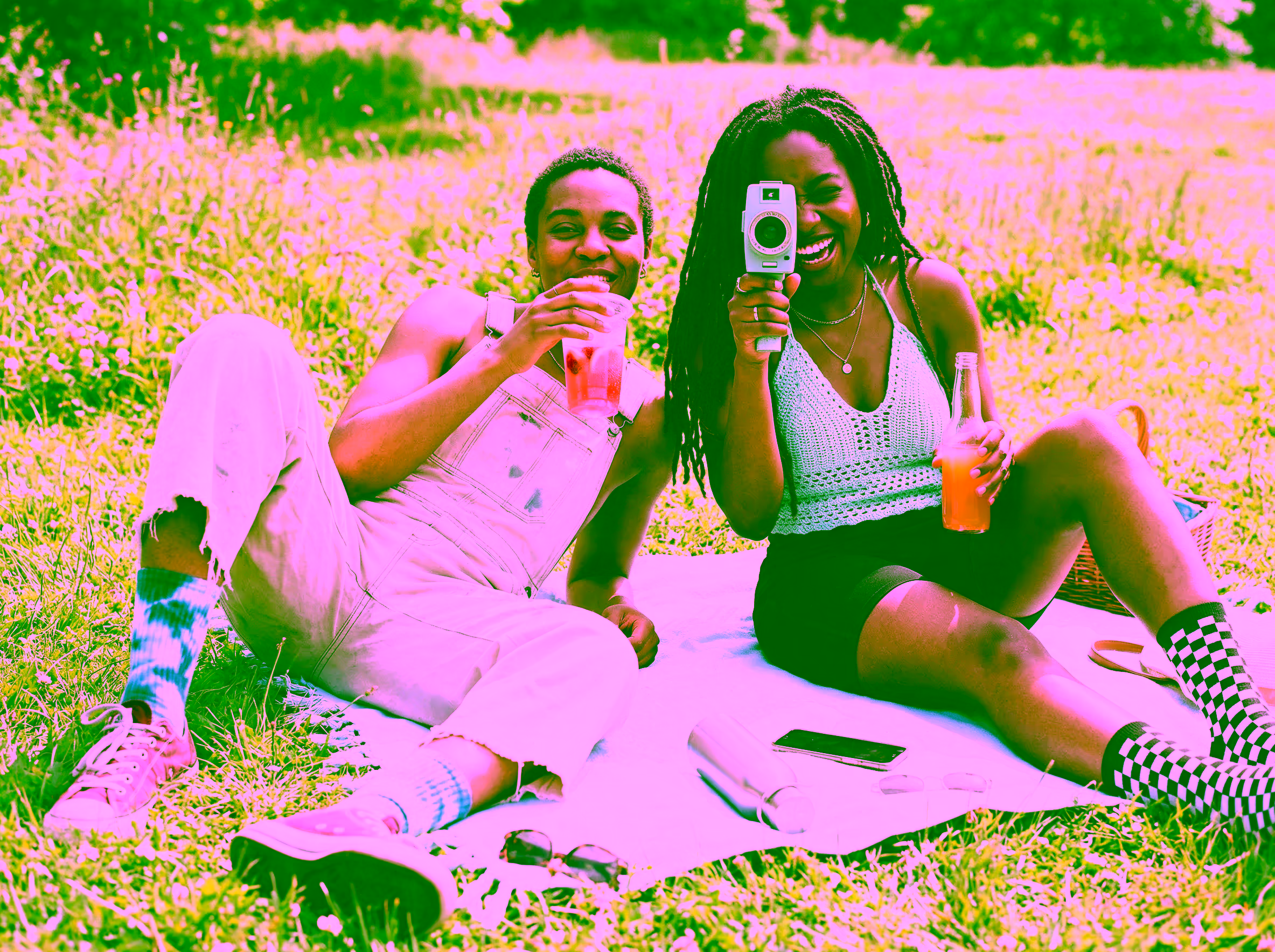 Sunny Picnic Scene - Reference 1