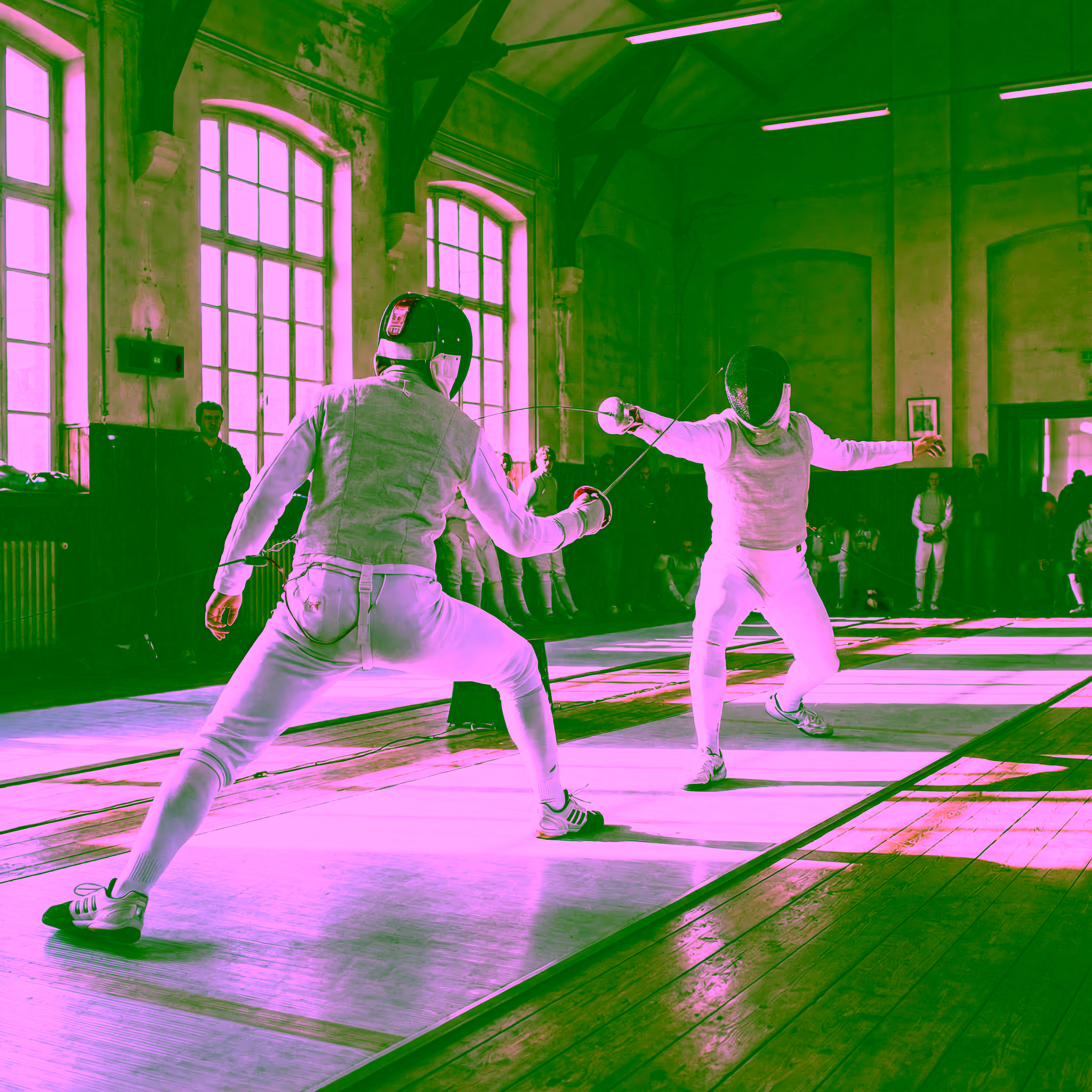 擊劍決鬥 - Input 1